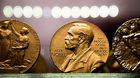 Kopien von Medaillen mit dem Bildnis von Alfred Nobel / © Jeppe Gustafsson (shutterstock)
