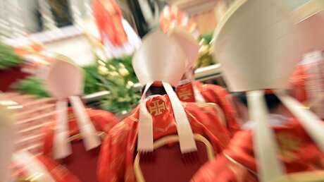 Kardinäle im Vatikan / © epd (epd)