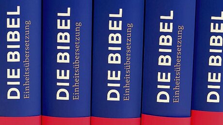 Bibel / © domradio.de (DR)