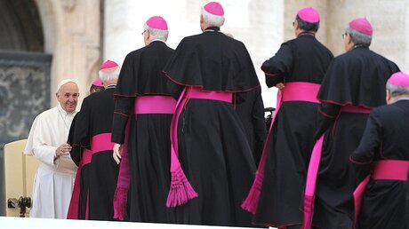 Papst Franziskus begrüßt Bischöfe / © Maurizio Brambatti (dpa)