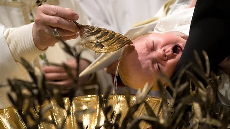Papst Franziskus tauft Säuglinge in der Sixtinischen Kapelle  / ©  Osservatore Romano/Romano Siciliani (KNA)