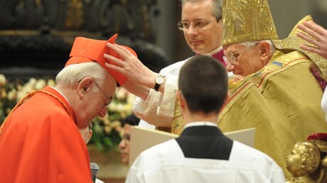 2010: Papst Benedikt XVI verleiht Brandmüller die Kardinalswürde / © Osservatore Romano (Reuters)