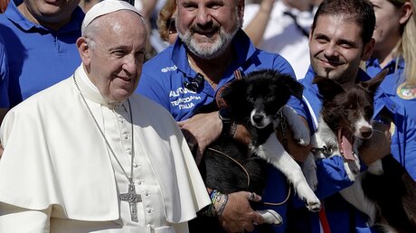 Papst Franziskus trifft am Tierschutztag auch auf Hunde. / © Andrew Medichini (dpa)