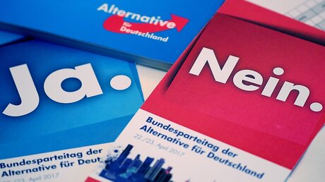 Stimmkarten beim AfD-Bundesparteitag / © Michael Kappeler (dpa)