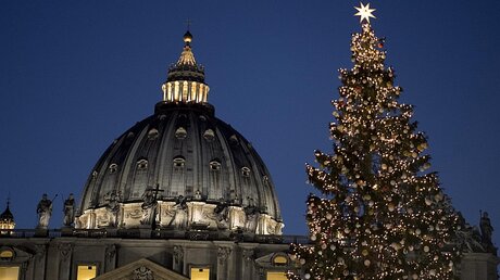 Weihnachten im Vatikan / © Maurizio Brambatti (dpa)