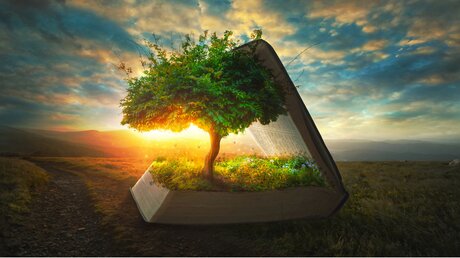 Bäume waren schon in der Bibel von großer Bedeutung / © Amanda Carden (shutterstock)