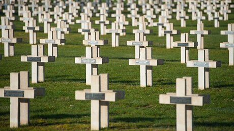 Friedhof in Verdun / © Nicolas Bouvy (dpa)