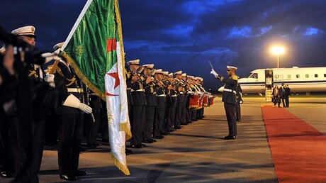 Militär mit algerischer Flagge / © Str (dpa)