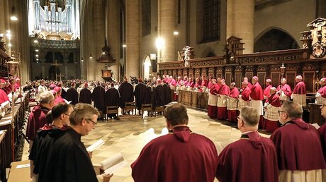 Bischöfe bei der Frühjahrsvollversammlung / © Markus Nowak (KNA)