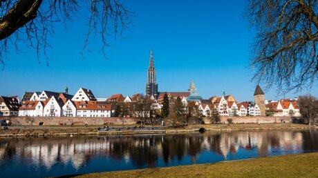 Blick auf das Ulmer Münster / © Stephan Langhans (shutterstock)