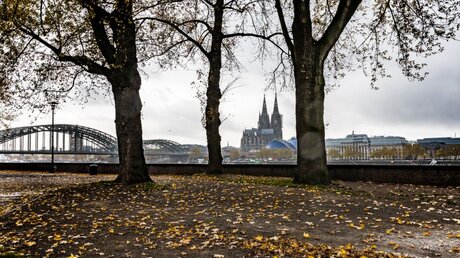 Blick auf den Kölner Dom im Winter / © Mohamed-Adel (shutterstock)