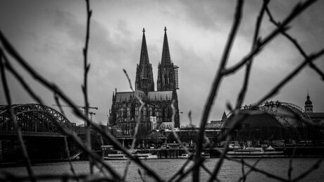 Blick auf den Kölner Dom / © Adelaide Di Nunzio (KNA)
