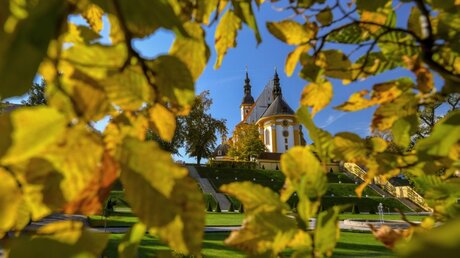 Blick aus dem Klostergarten auf die katholischen Kirche vom Kloster Neuzelle / © Patrick Pleul (dpa)
