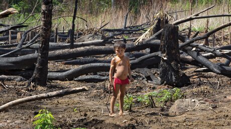 Brandrodung in der Nähe des Yanomami-Dorfes Watoriki in Brasilien / © Jürgen Escher (Adveniat)