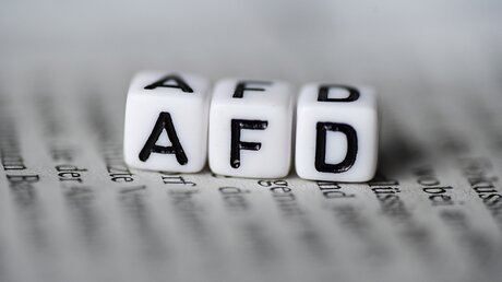 Buchstabenwürfel formen das Wort AfD / © knipsdesign  (shutterstock)