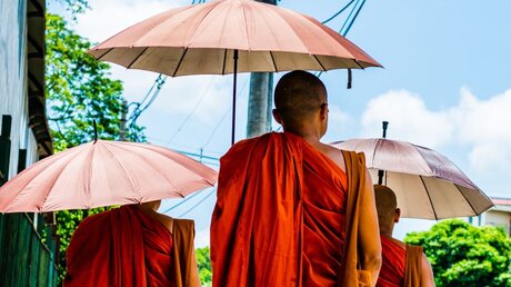 Buddhistische Mönche / © Matt Venker (shutterstock)