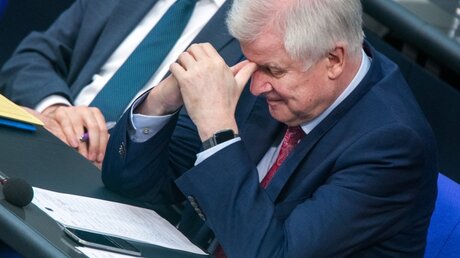 Bundesinnenminister Horst Seehofer im Bundestag / © Jens Büttner (dpa)