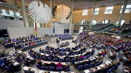 Der Deutsche Bundestag (dpa)
