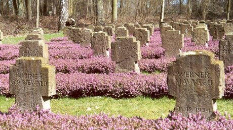 Erster Platz: 15 verschiedene Grabformen sind im Waldfriedhof Lauheide in Münster zu sehen.  / © Copyright: Stadt Münster, Amt für Grünflächen und Umweltschutz 
