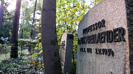Das Grab von Max Friedlaender auf dem Südwestkirchhof Stahnsdorf / © Jens Kalaene (dpa)