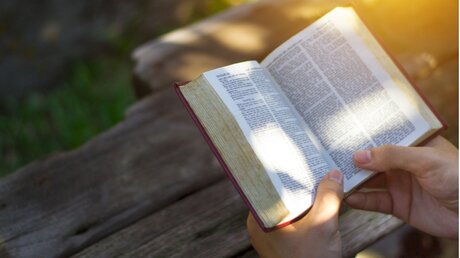 Das "Wort Gottes" - die Bibel lesen (shutterstock)