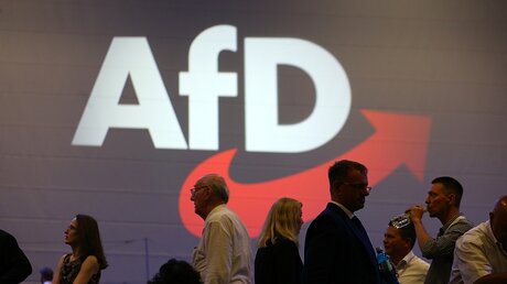 Delegierte beim AfD-Parteitag 2018 / © Karl-Josef Hildenbrand (dpa)