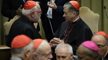 Der Chicagoer Erzbischof Cupich (r), spricht mit Kardinal Marx beim Gipfeltreffen zum Thema Missbrauch  / © Alessandra Tarantino (dpa)