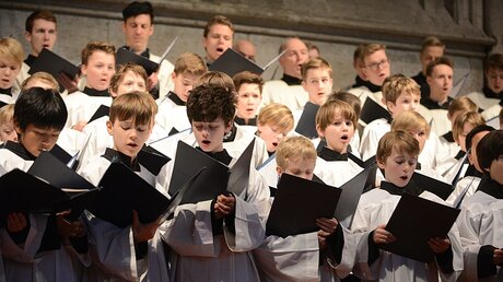 Der Domchor singt die Missa de Angelis von Wolfram Menschick / © Beatrice Tomasetti  (DR)