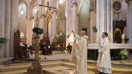 Der Madrider Erzbischof Carlos Osoro in der leeren Almudena-Kathedrale / © Joaquin Corchero / Europa Press (dpa)