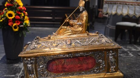 Der Schrein des Heiligen Apollinaris liegt während der Festmesse auf den Altarstufen. / © Tomasetti (DR)