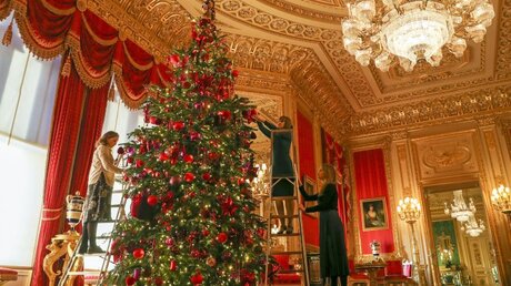 Der Weihnachtsbaum in Schloss Windsor / © Steve Parsons (dpa)