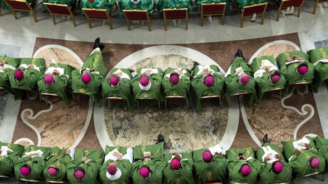 Die Bischöfe bei der Abschlussmesse  / © Claudio Peri (dpa)