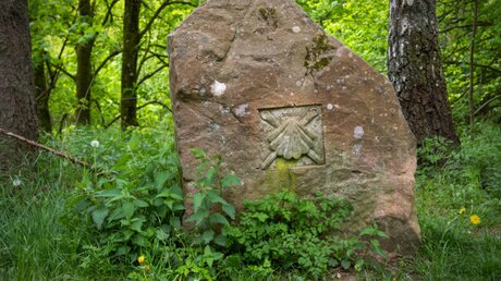 Die Jakobsmuschel als Zeichen für den Pilgerweg - hier in der Karlstalschlucht im Pfälzer Wald / © Pilgerin (shutterstock)