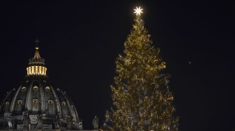 Die Kuppel des Petersdoms neben dem Weihnachtsbaum auf dem Petersplatz / © Cristian Gennari (KNA)