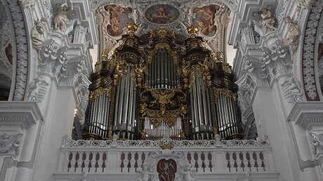 Die Orgel in St. Stephan, Passau / © Oliver Kelch (DR)