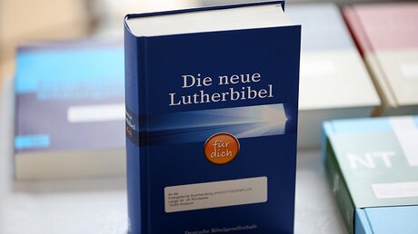 Druck der neuen Lutherbibel startet  / © Bernd Wüstneck (dpa)