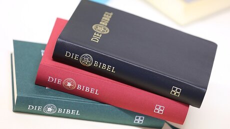 Verschiedene Druckausgaben der neuen Lutherbibel / © Karl-Josef Hildenbrand (dpa)