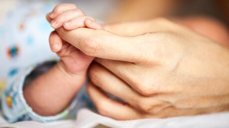 Ein Baby hält den Finger der Mutter fest / © Photobac (shutterstock)