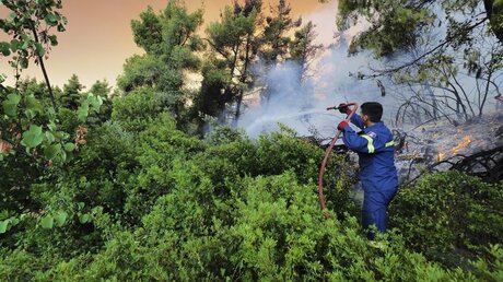 Ein Feuerwehrmann kämpft gegen einen Waldbrand in Griechenland / © Thodoris Nikolaou/AP (dpa)