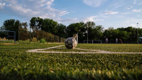 Ein Fußball auf einem Spielfeld / © Bogdan Kovenkin (shutterstock)