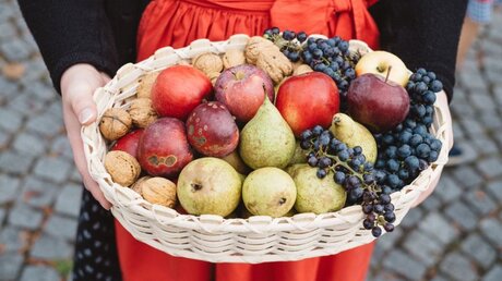 Ein Korb mit Äpfeln, Birnen, Trauben und Walnüssen / © Wolfgang Lehner (KNA)