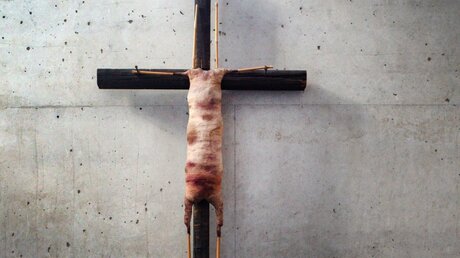 Ein Kreuz mit einem stilisierten Lamm hängt in der Citykirche Mönchengladbach / © Jana Bauch (dpa)