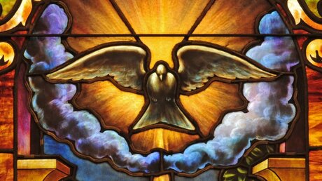 Eine Fensterscheibe mit der Darstellung einer Taube in einer Kirche / © Nancy Bauer (shutterstock)