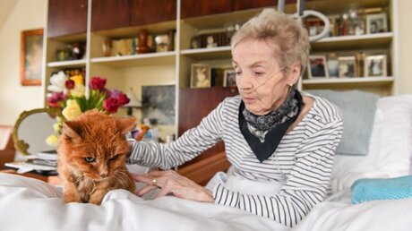 Eine kranke Frau liegt in einem Pflegebett in ihrer Wohnung und streichelt ihre Katze / © Harald Oppitz (KNA)