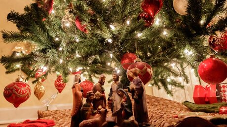 Eine Krippe unter einem Weihnachtsbaum / © Steven George (shutterstock)