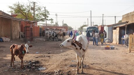 Eine Straßenszene in Ouagadougou (Burkina Faso) 2017. / © Michael Merten (KNA)
