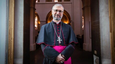 Bittet Papst um Rücktritt: Erzbischof Stefan Heße / © Lars Berg (KNA)