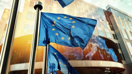 Europaflagge vor dem Europäischen Parlament in Brüssel / © Symbiot (shutterstock)