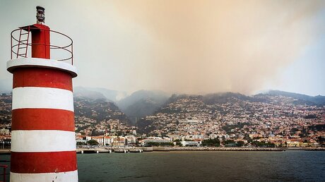 Feuer auf Madeira / © Gregorio Cunha (dpa)