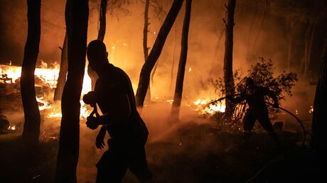 Feuerwehrleute bekämpfen einen Waldbrand in Athen, Griechenland / © Lefteris Partsalis (dpa)